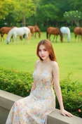 รูปที่ 4 จาก 5 ของ Puyfai จากเมืองเชียงใหม่, เชียงใหม่