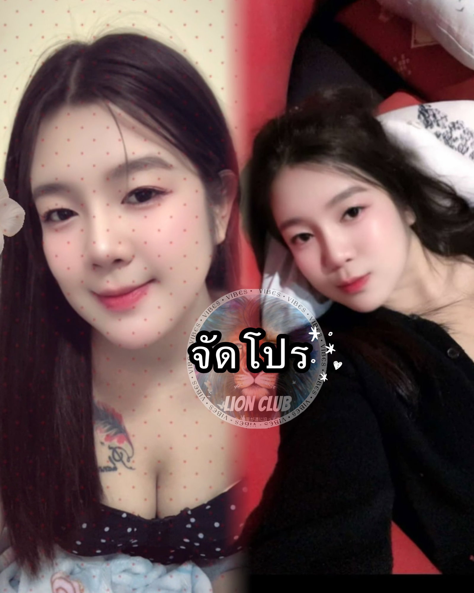รูปโปรไฟล์ของ ดัชมิล(lion club) จากห้วยขวาง, กรุงเทพมหานคร