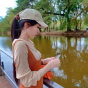 รูปที่ 5 จาก 5 ของ ทานตะวัน จากบางกะปิ, กรุงเทพมหานคร